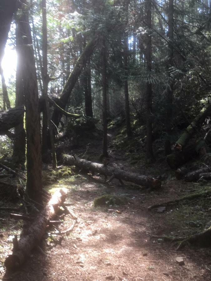דירות North Saanich Oceanspray Hideaway מראה חיצוני תמונה