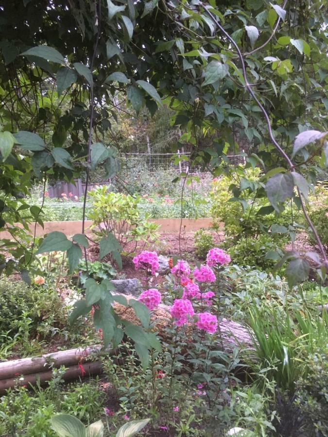 דירות North Saanich Oceanspray Hideaway מראה חיצוני תמונה